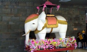 花祭りにお釈迦様の像に甘茶をかける理由 白い象の由来は 季節お役立ち情報局