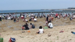 二色浜　潮干狩りを楽しむたくさんの人々