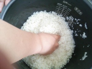 米の中の虫対策と駆除方法 どこから入る お米は食べられる 季節お役立ち情報局