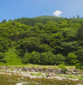 夏　新緑に覆われた山　小川