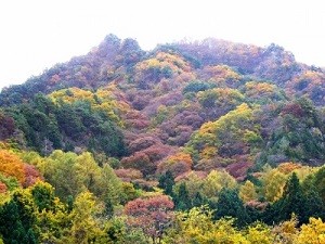 秋　紅葉に彩られた山