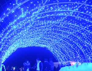 十和田湖冬物語　ブルー色の光のゲート