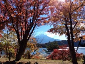 河口湖　紅葉の向こうに見える富士山