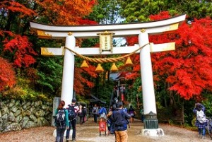 宝登山神社の鳥居と紅葉