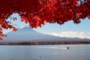 真っ赤な紅葉の向こうに見える富士山と河口湖