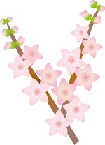 桃の花　イラスト