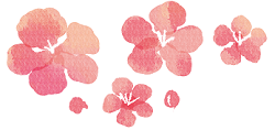 梅の花　イラスト
