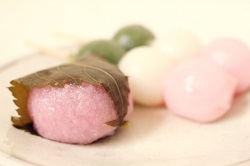 桜餅　和菓子