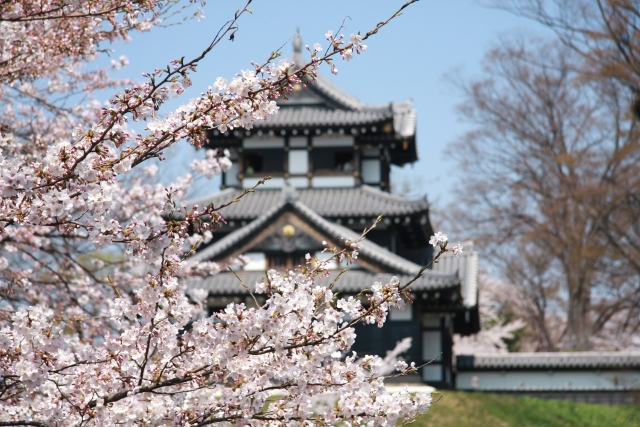 高田城址公園の桜21の花見頃と開花予想 桜まつりやライトアップは 季節お役立ち情報局