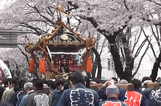 相模原市民桜まつり22の日程 見頃やイベントは 屋台や駐車場は 季節お役立ち情報局