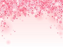 桜の模様　イラスト