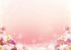 花とピンクの背景　イラスト