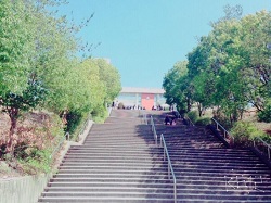 学校への階段