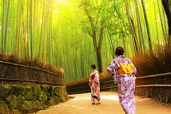竹林を歩く浴衣の女性2人