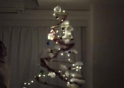 ダンボールで手作りしたクリスマスツリーのライトアップ
