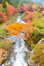湯滝と紅葉