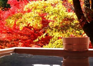 露天風呂と黄葉と紅葉