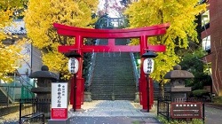 愛宕神社　真っ赤な鳥居と黄葉