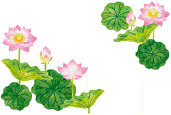 蓮の花　イラスト