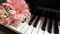 ピアノの鍵盤とガーベラの花