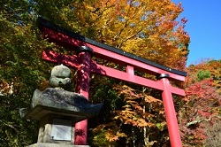 談山神社　鳥居と紅葉