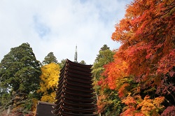 談山神社　十三重の塔と紅葉