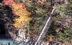 寸又峡　夢の吊り橋と紅葉