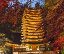 談山神社　十三重塔と紅葉のライトアップ