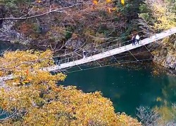 寸又峡　紅葉と夢の吊り橋