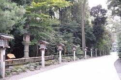 寒川神社　灯籠のある参道