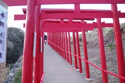 元乃隅稲成神社の赤い鳥居