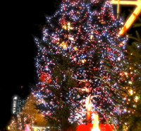 東京タワーイルミネーション　クリスマスツリー