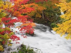 紅葉関東穴場スポットをご紹介 おすすめの温泉で紅葉を満喫 季節お役立ち情報局