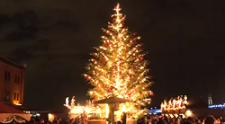 横浜赤レンガ倉庫　クリスマスマーケット　巨大クリスマスツリー