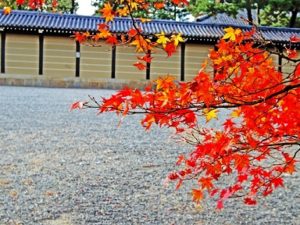 京都御苑と紅葉