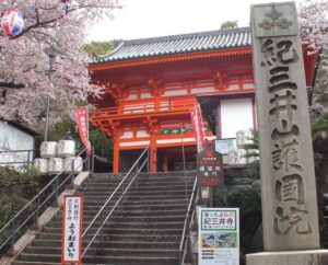紀三井寺　桜と桜門