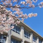 校舎と桜と青空