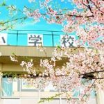 小学校の校舎と青空と桜