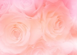 結婚式余興ダンスおすすめランキング 簡単に盛り上がるのはコレ