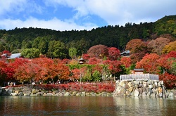 勝尾寺　美しい紅葉景色