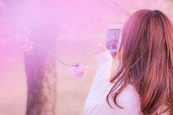 桜をスマホで撮影する女性