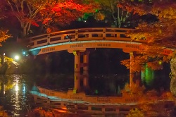 醍醐寺　紅葉ライトアップ　池に映り込む橋と紅葉