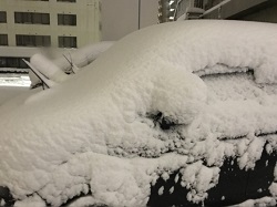 雪が積もった車