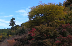 英彦山　紅葉風景
