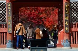 勝尾寺　山門と紅葉
