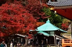 勝尾寺の紅葉の見頃時期 ライトアップは 混雑や駐車場は 季節お役立ち情報局