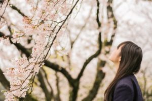 桜を見上げる女子高生