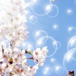 桜とシャボン玉と青空