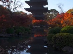 東寺　五重塔と紅葉