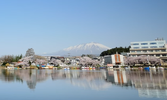 高松公園(高松の池)の桜2026!見頃や桜まつりは?ライトアップは? - 季節お役立ち情報局